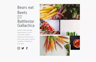 bears/beats/battlestar gallactica