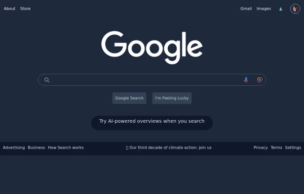 Clone of Google’s Search Functionality