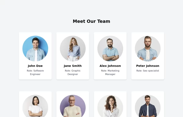 Meet the Team Section with Team Member Cards