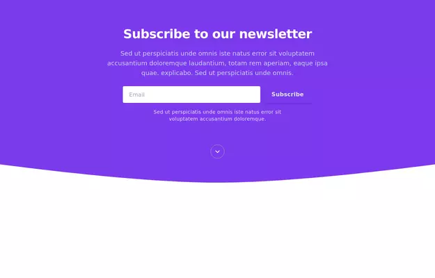 Subscribe to our newsletter section