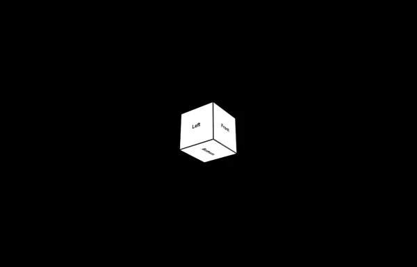 3d Box