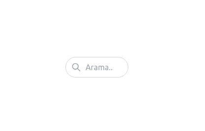 Animasyonlu Arama Textbox Widget