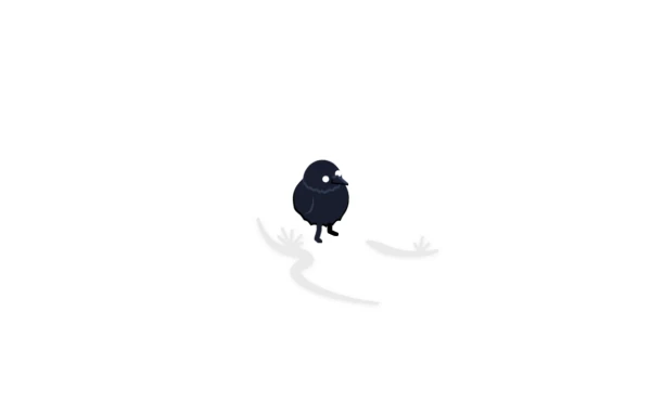 Cockatoo