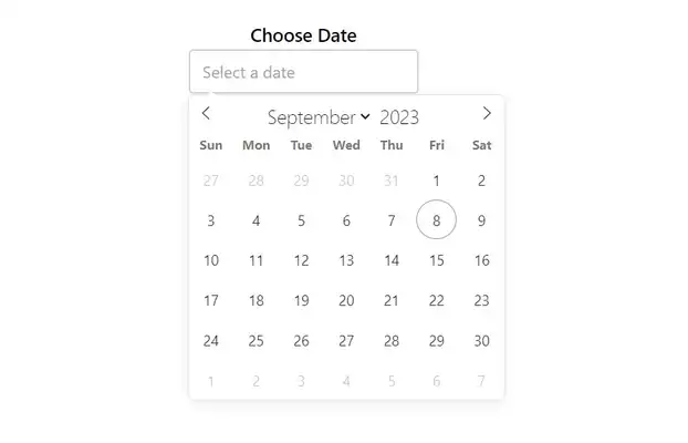 Date picker