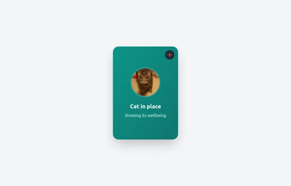 Expandable Card