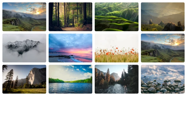 Image gallery using grid