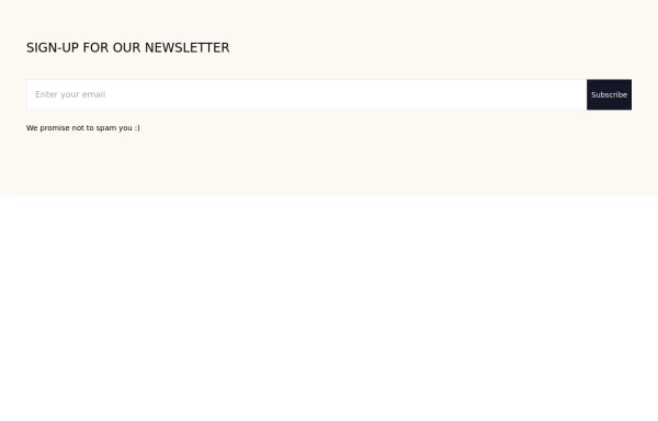 Newsletter Footer