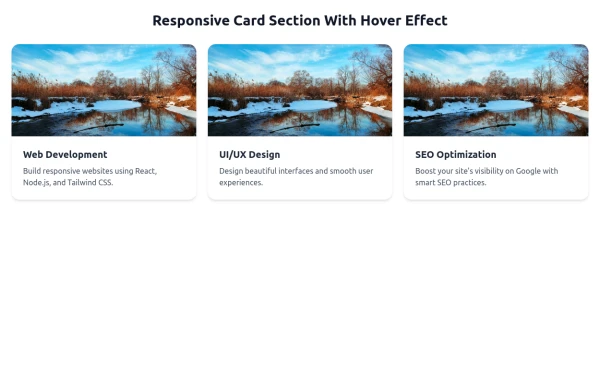 Responsive Card Section With Hover Effect