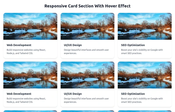 Responsive Card Section With Hover Effect