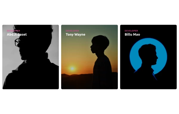Responsive Cards with Hover Text Reveal Animation - Built with Tailwind CSS